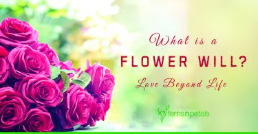 flower will