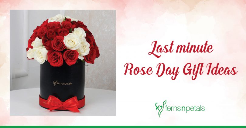Buy Midiron Romantic Gift for Valentine's Day, Birthday, Anniversary and  any Special Occasion| Special Gift for Girlfriend, Wife, Husband,  Boyfriend, and any Special Person (Artificial Red Rose, Love Greeting Card,  Chocolates) Online