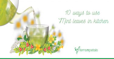 10-ways-to-use-Mint-leaves-in-kitchen