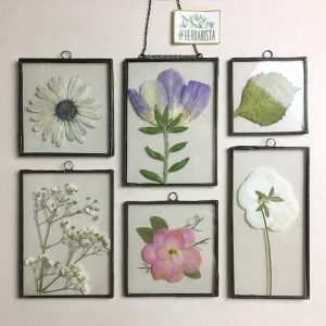 DIY home decor ideas for lockdown - Ferns N Petals