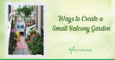 Ways to Create a Small Balcony Garden