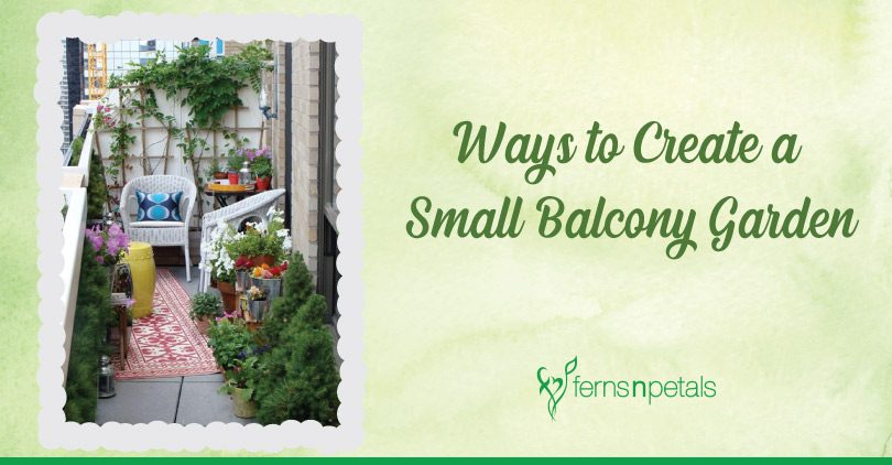 Ways to Create a Small Balcony Garden