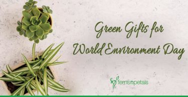 Top 8 Plants for World Environment Day