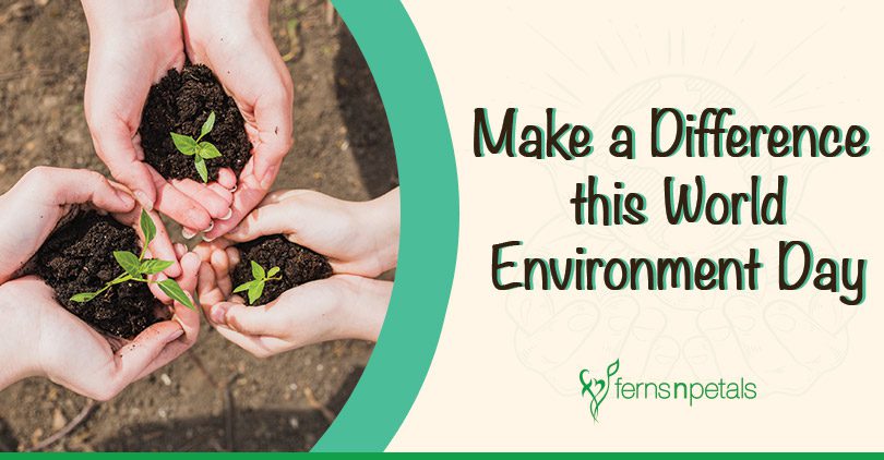 How can you make a difference this World Environment Day