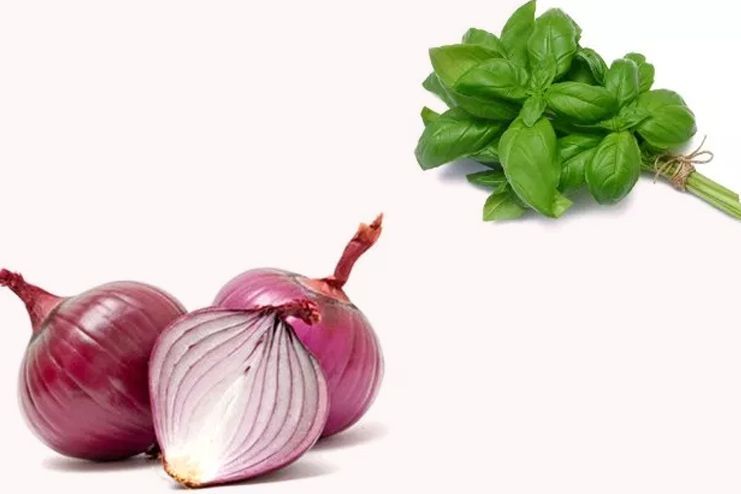 Onion & Basil Paste