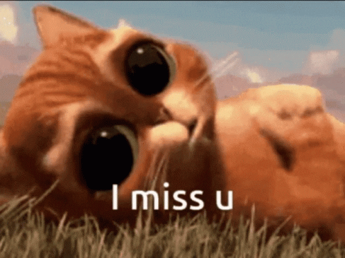 The ex you can’t forget