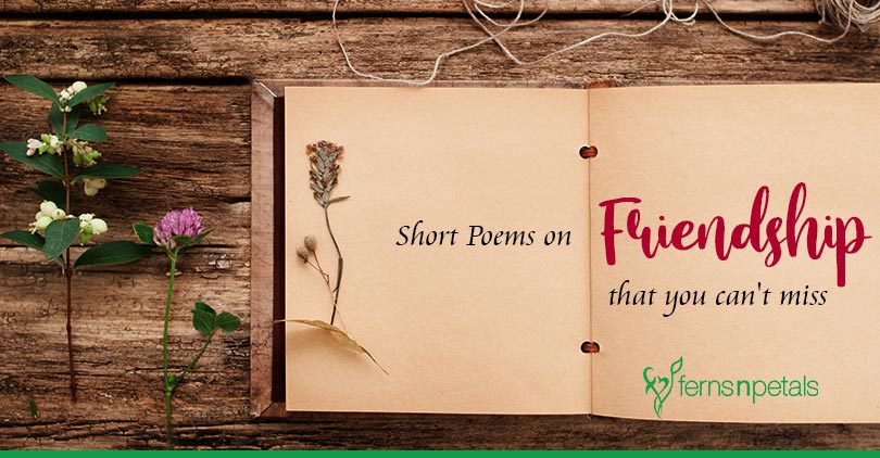 Short Poems on Friendship That You Cannot Miss - Ferns N Petals