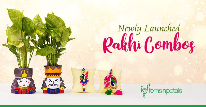 Newly Launched Rakhi Combos