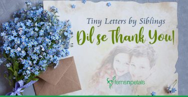 Tiny Letters By Siblings- Dil Se Thank You