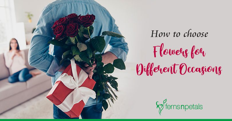 What are the preferences while sending Flowers to the USA on Different Occasions