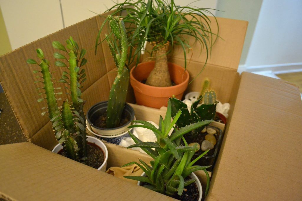 Moving your plants frequently