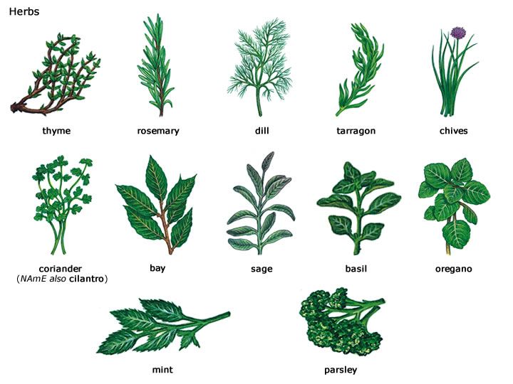 Select your herbs
