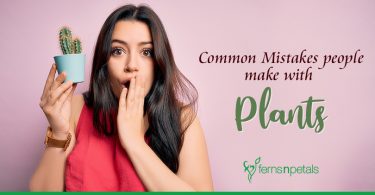 Common Mistakes people make with plants