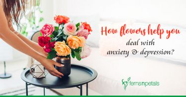 How flowers help you deal with anxiety & depression