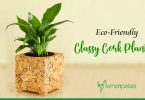 Eco-Friendly Classy Cork Planters