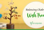 Balancing Chakras Wish Tree