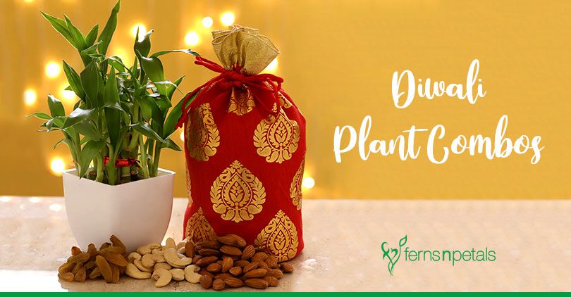 Tips for celebrating Eco-Friendly Diwali – Confetti Gifts