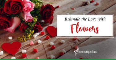 Rekindle the love with Romantic Anniversary Flowers