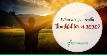 What are you really thankful for in 2020?