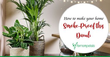 How to make your home Smoke-Proof this Diwali