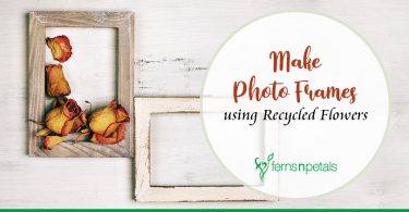 How to make Photo Frames using Recycled Flowers?