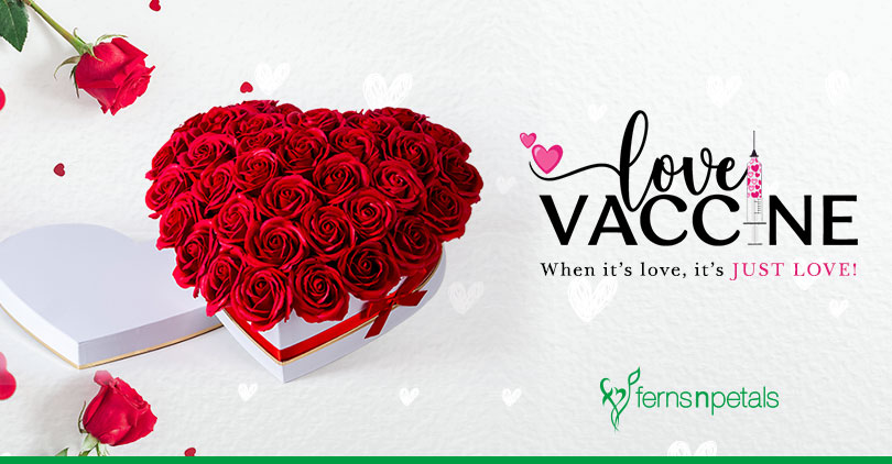 Love Vaccine- the Whats & the Hows