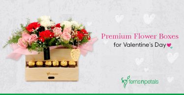 Premium Flower Boxes for Valentine's Day