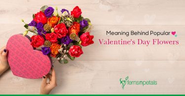 Meaning Behind Popular Valentine's Day Flowers