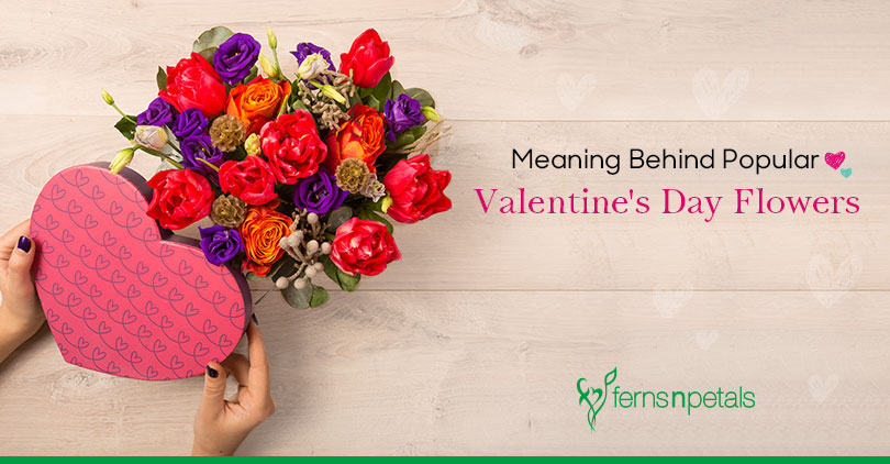 Meaning Behind Popular Valentine's Day Flowers