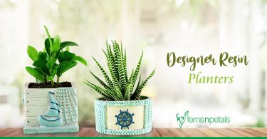 Designer-Resin-Planters