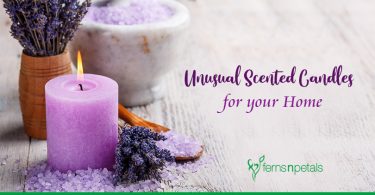 Unusual Scented Candles