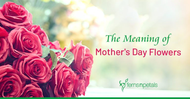 Meaning Behind Popular Mothers Day Flowers