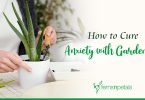 How to Cure Anxiety with Gardening