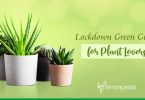 Lockdown Green Guide for Plant Lovers