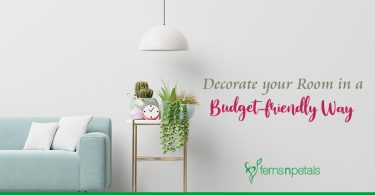 How to Decorate your Room in a Budget-friendly Way?