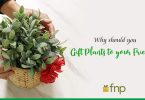 Why should you Gift Plants to your Friends?