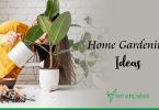 Home gardening ideas