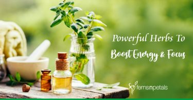 Powerful Herbs To Boost Energy & Focus