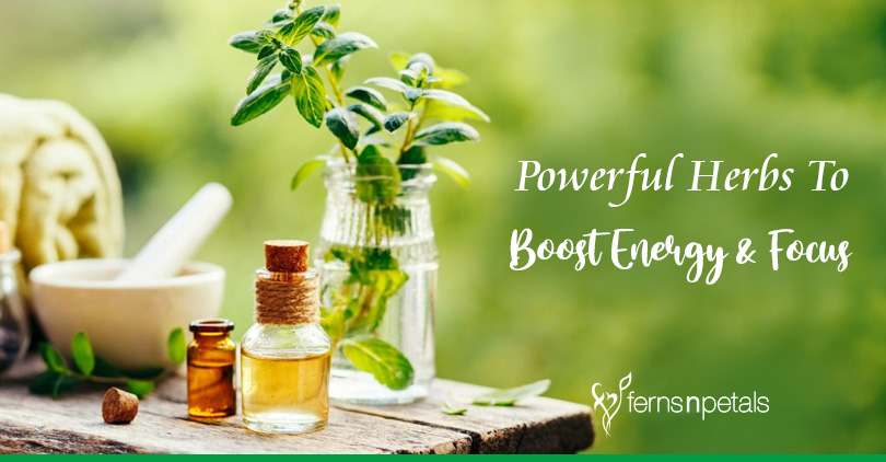 Energy boosting herbs