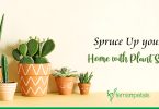 Plant Sets for Sprucing Up your Home Decor!