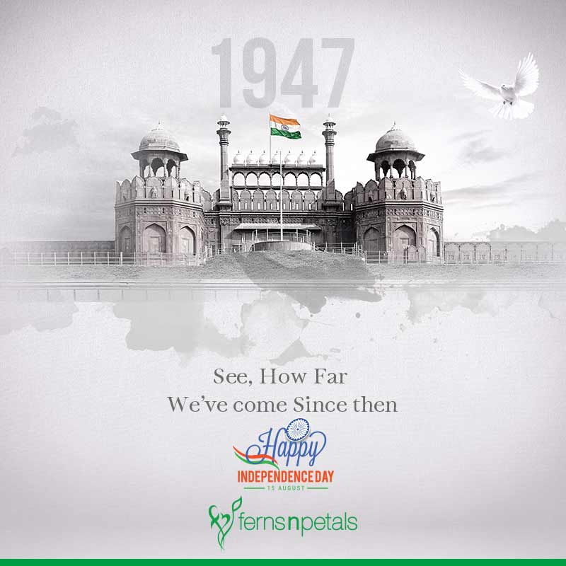 https://i1.f75th Independence Daynp.com/images/pr/l/v20190122222820/republic-day-decoration_1.jpg