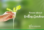 Know about Soil-less Gardening"