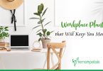 Workplace Planters that Will Keep You Motivated