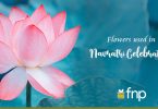 Which Flowers are used for Navratri Celebrations