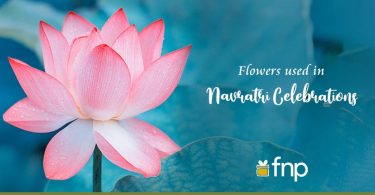 Which Flowers are used for Navratri Celebrations