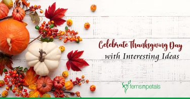 Celebrate Thanksgiving Day with Interesting Ideas