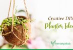Top 5 Creative DIY Planter Ideas