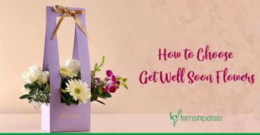How to Choose the Perfect Get Well Soon Flowers