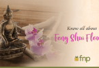 Know all about Feng Shui Flowers