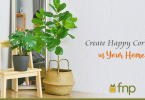 How Can you Create Happy Corners in your Home